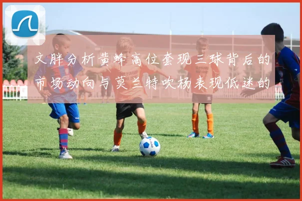 文胖分析黄蜂高位套现三球背后的市场动向与莫兰特吹杨表现低迷的影响